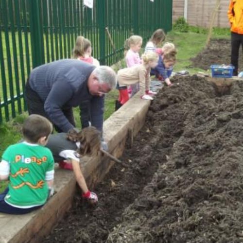 Shaping the Jubilee Gardens_jpg.jpg