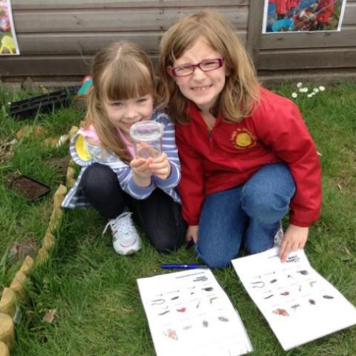 Hunting for minibeasts!.jpg