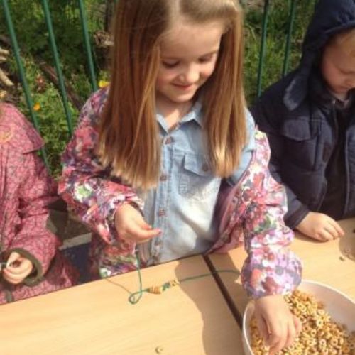 My own bird feeder!.jpg